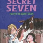 Fun For The Secret Seven: 15 (The Secret Seven Series)