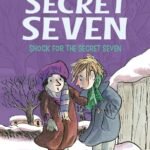 Shock For The Secret Seven: (The Secret Seven Series): 13