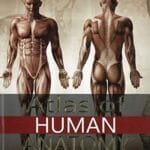 ATLAS OF HUMAN ANATOMY