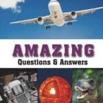 Amazing Questions & Answers