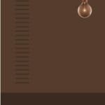 প্যারাডক্সিক্যাল সাজিদ -২