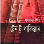 ট্রেন টু পাকিস্তান