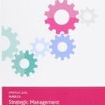 E3 Exam Kit(Strategic Management)-Kaplan