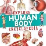 Explore Human Body Encyclopedia