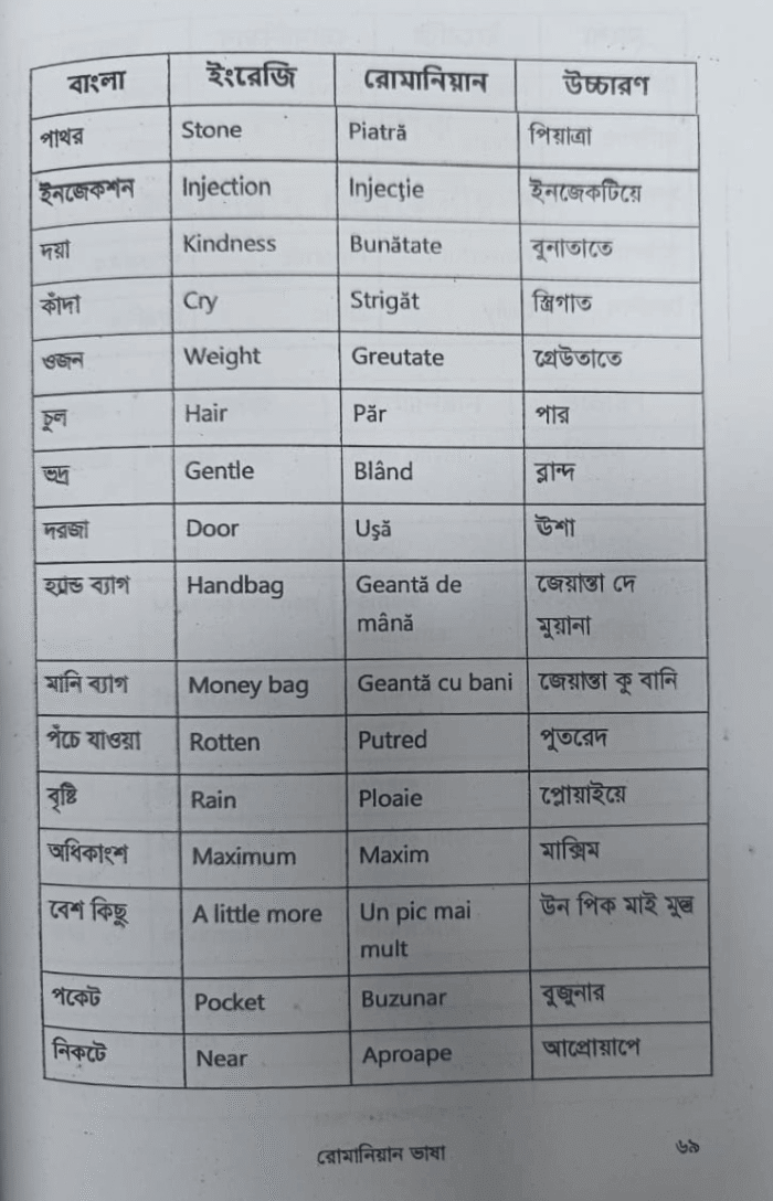 ৩০ দিনে রোমানিয়ান ভাষা শিখুন - Image 3