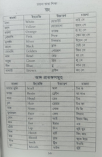 ৩০ দিনে চায়না ভাষা শিখুন - Image 3
