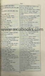 Danish to Bengali DIctionary/ড্যানিশ টু বাংলা ডিকশনারি বই - Image 2